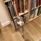 IMG_6867.jpeg
