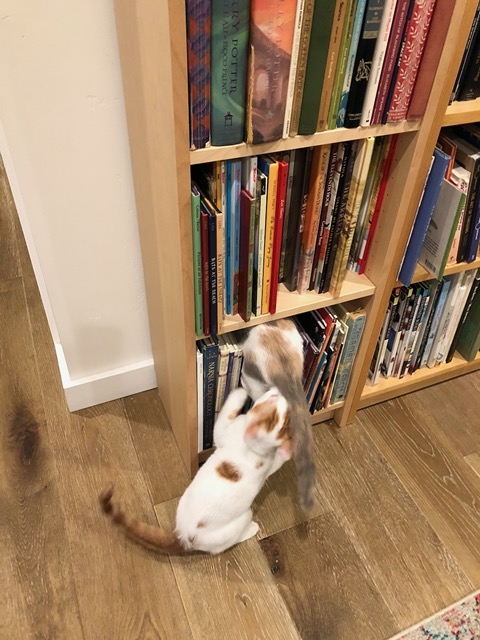 They're both exploring every nook and cranny now