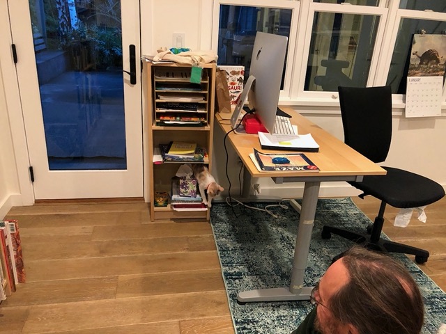 And the organizer for Owen's school papers