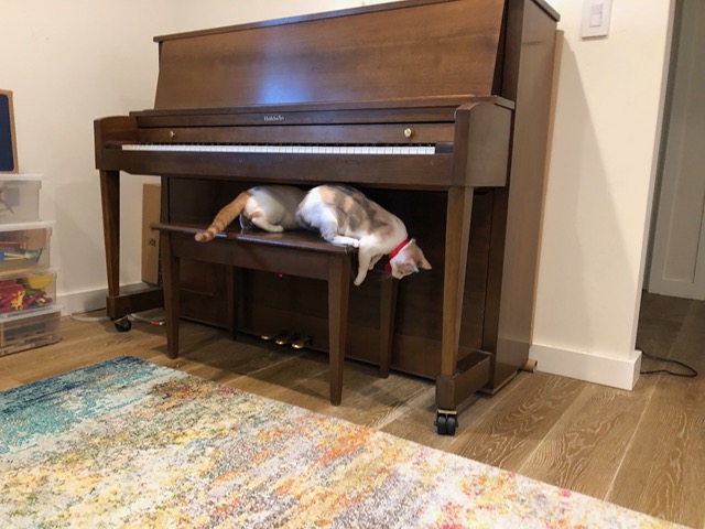 They're more comfortable now.  They know this place.
