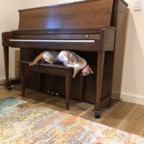 IMG_6872.jpeg