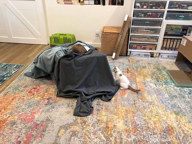 Owen has built them a fort