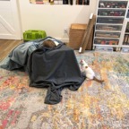 IMG_6875.jpeg