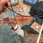 IMG_6880.jpeg