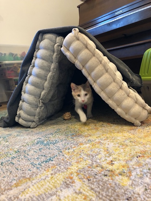 Owen modifies the fort for them