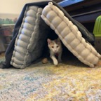 IMG_8092.jpeg