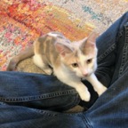 IMG_8093.jpeg