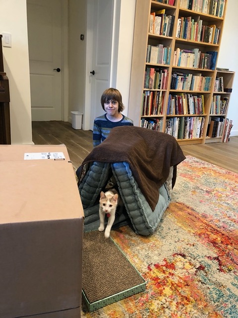 Owen keeps the fort ever-changing