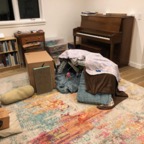 IMG_6891.jpeg