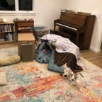 IMG_6893.jpeg