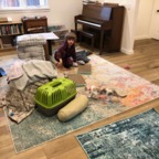 IMG_6896.jpeg