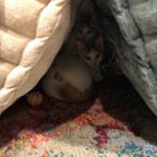 IMG_6902.jpeg