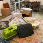 IMG_6903.jpeg