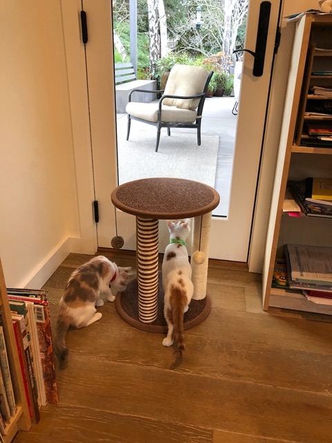 They start checking it out right away