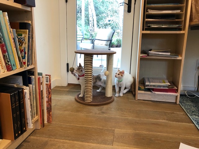 As is the window