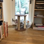 IMG_6911.jpeg