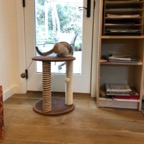 IMG_6928.jpeg