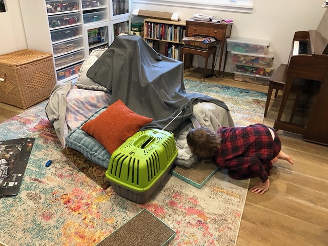 They went inside!