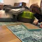 IMG_6961.jpeg