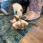 IMG_6989.jpeg