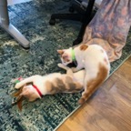 IMG_6991.jpeg