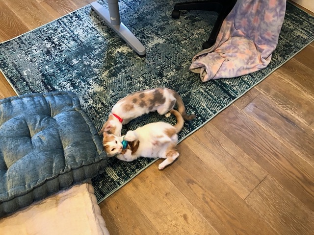 Rolling over while holding it