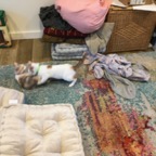 IMG_7008.jpeg