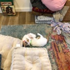 IMG_7010.jpeg