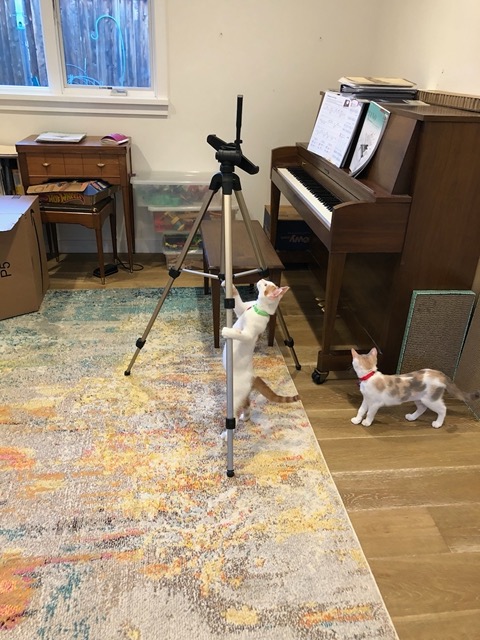 Checking out the tripod set up for a piano lesson
