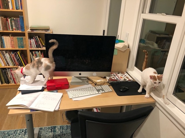 Checking out the top of Owen's remote learning desk
