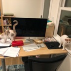 IMG_7018.jpeg