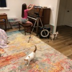 IMG_7017.jpeg