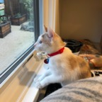 IMG_8110.jpeg