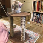 IMG_7043.jpeg