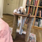 IMG_7044.jpeg