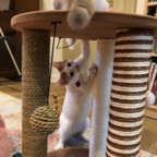 IMG_7046.jpeg