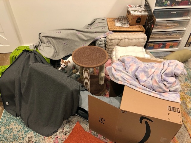 Exploring a new fort
