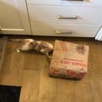 IMG_7061.jpeg