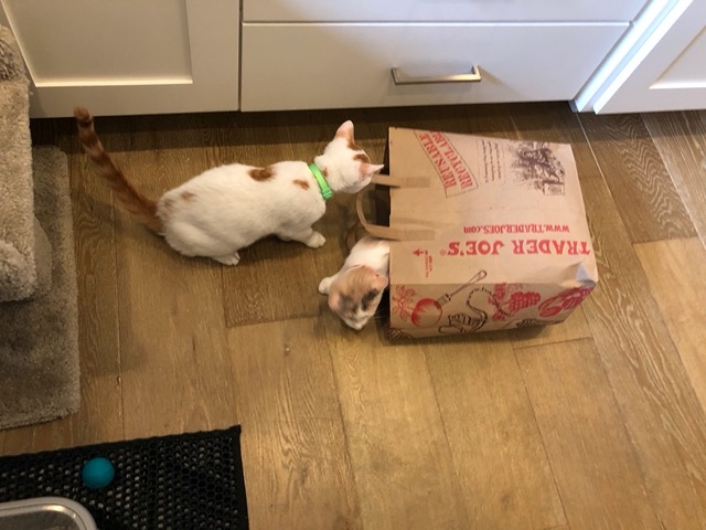 They both go in