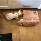 IMG_7065.jpeg