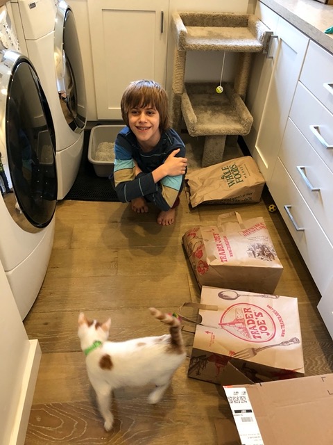 Owen arranged a set of three bags