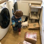 IMG_7074.jpeg