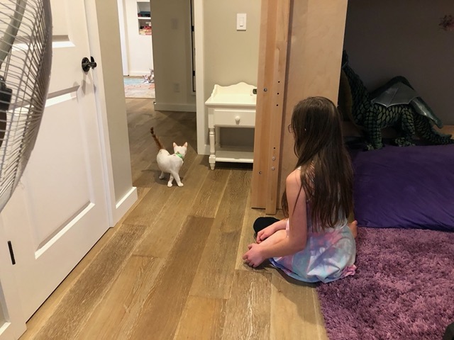 On the 28th we open Ellie's room for exploration