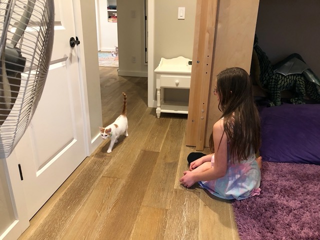 The male comes in first