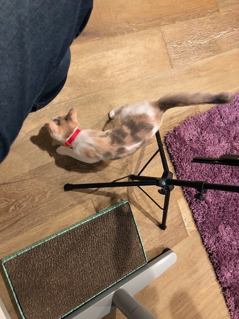 Exploring the base of the music stand