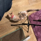 IMG_7083.jpeg
