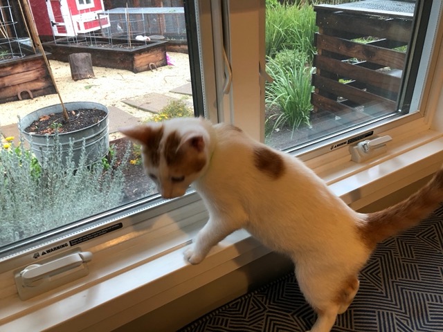 Checking out Ellie's window seat