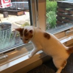 IMG_7091.jpeg
