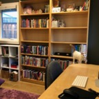 IMG_7094.jpeg
