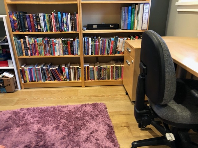 The discover the bookshelf